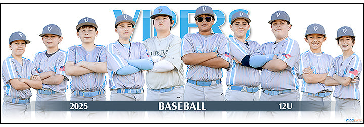2025 Vipers Baseball 12U