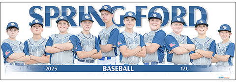 2025 Spring-Ford Baseball 12U Gold