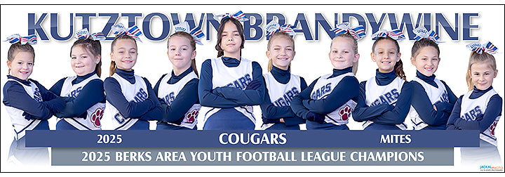 2025 Kutztown-Brandywine Cougars Mites Cheer