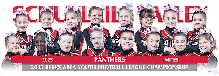 2025 Schuylkill Valley Pathers Mites Cheer