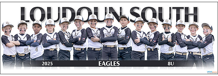 2025 Loudoun South Eagles 8U