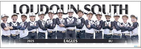 2025 Loudoun South Eagles 8U