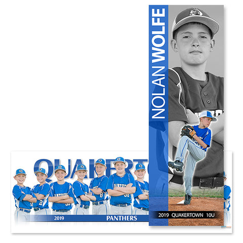 Team and Individual Player Posters Combo