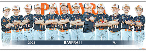 2023 Palmyra Baseball 7U