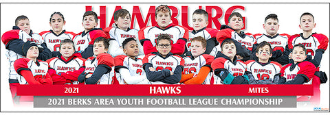 2021 Hamburg Hawks Mites Poster