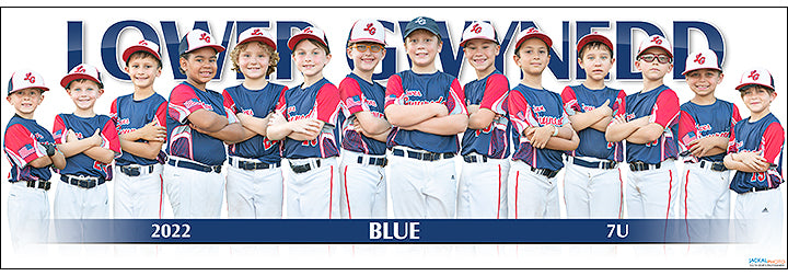 2022 Lower Gwynedd Blue 7U