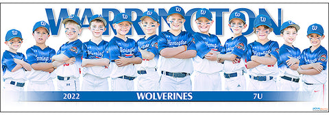 2022 Warrington Wolverines 7U