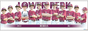 2022 Lower Perk Rebels 8U