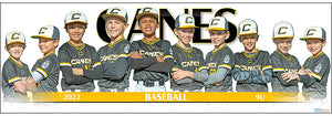 2022 Canes Baseball 9U