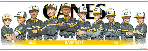 2022 Canes Baseball 9U