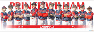 2022 Prince William Cardinals 9U