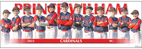 2022 Prince William Cardinals 9U