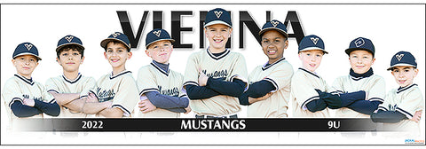 2022 Vienna Mustangs 9U