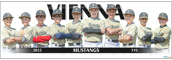2022 Vienna Mustangs 11U