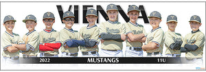 2022 Vienna Mustangs 11U