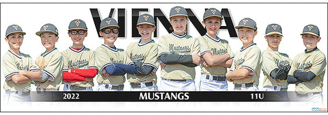 2022 Vienna Mustangs 11U