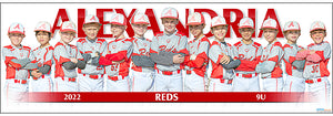 2022 Alexandria Reds 9U