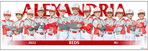 2022 Alexandria Reds 9U