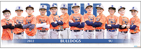 2022 Burke Bulldogs 9U