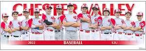 2022 Chester Valley Baseball 12U
