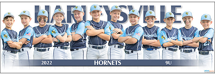 2022 Harleysville Hornets 9U