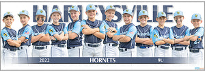 2022 Harleysville Hornets 9U