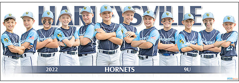 2022 Harleysville Hornets 9U