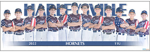 2022 Harleysville Hornets 11U