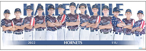 2022 Harleysville Hornets 11U