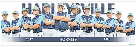 2022 Harleysville Hornets 12U