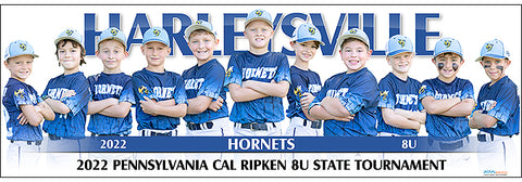 2022 Harleysville Hornets 8U