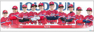 2022 Loudoun Aces 10U
