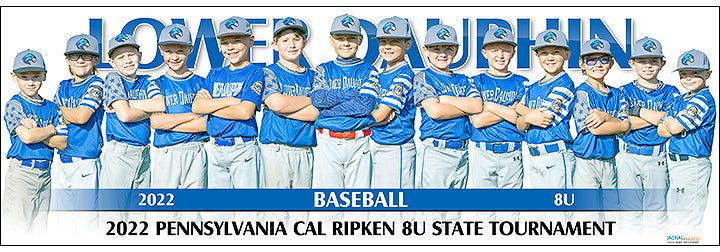 2022 Lower Dauphin Baseball 8U
