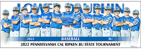 2022 Lower Dauphin Baseball 8U