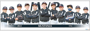 2022 MVP Mustangs 11U