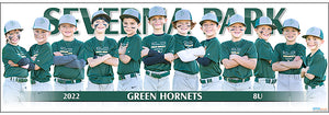 2022 Severna Park Green Hornets 8U