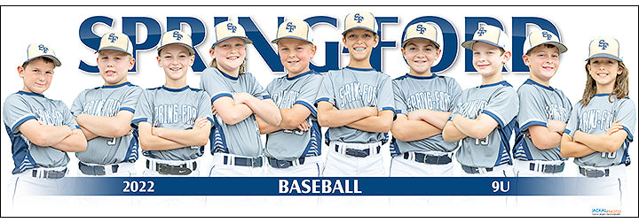 2022 Springfield Baseball 9U