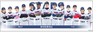 2022 Stars Baseball 12U