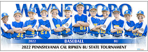 2022 Waynesboro Baseball 8U