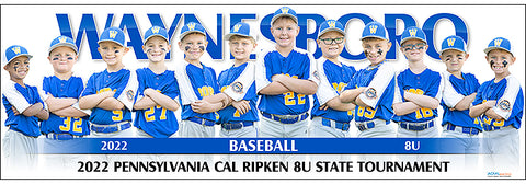 2022 Waynesboro Baseball 8U