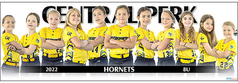 2022 Central Perk Hornets 8U