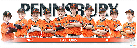 2023 Pennsbury Falcons 8U