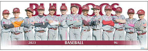 2023 JA Bulldogs Baseball 9U