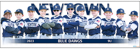 2023 Newtown Blue Dawgs 9U