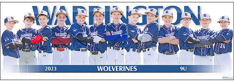 2023 Warrington Wolverines 9U