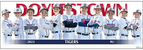 2023 Doylestown Tigers 9U