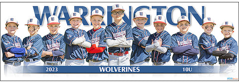 2023 Warrington Wolverines 10U
