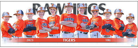 2023 Rawlings Tigers 10U