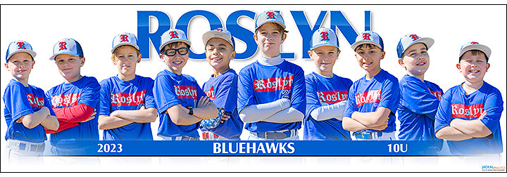 2023 Roslyn Bluehawks 10U