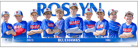 2023 Roslyn Bluehawks 10U